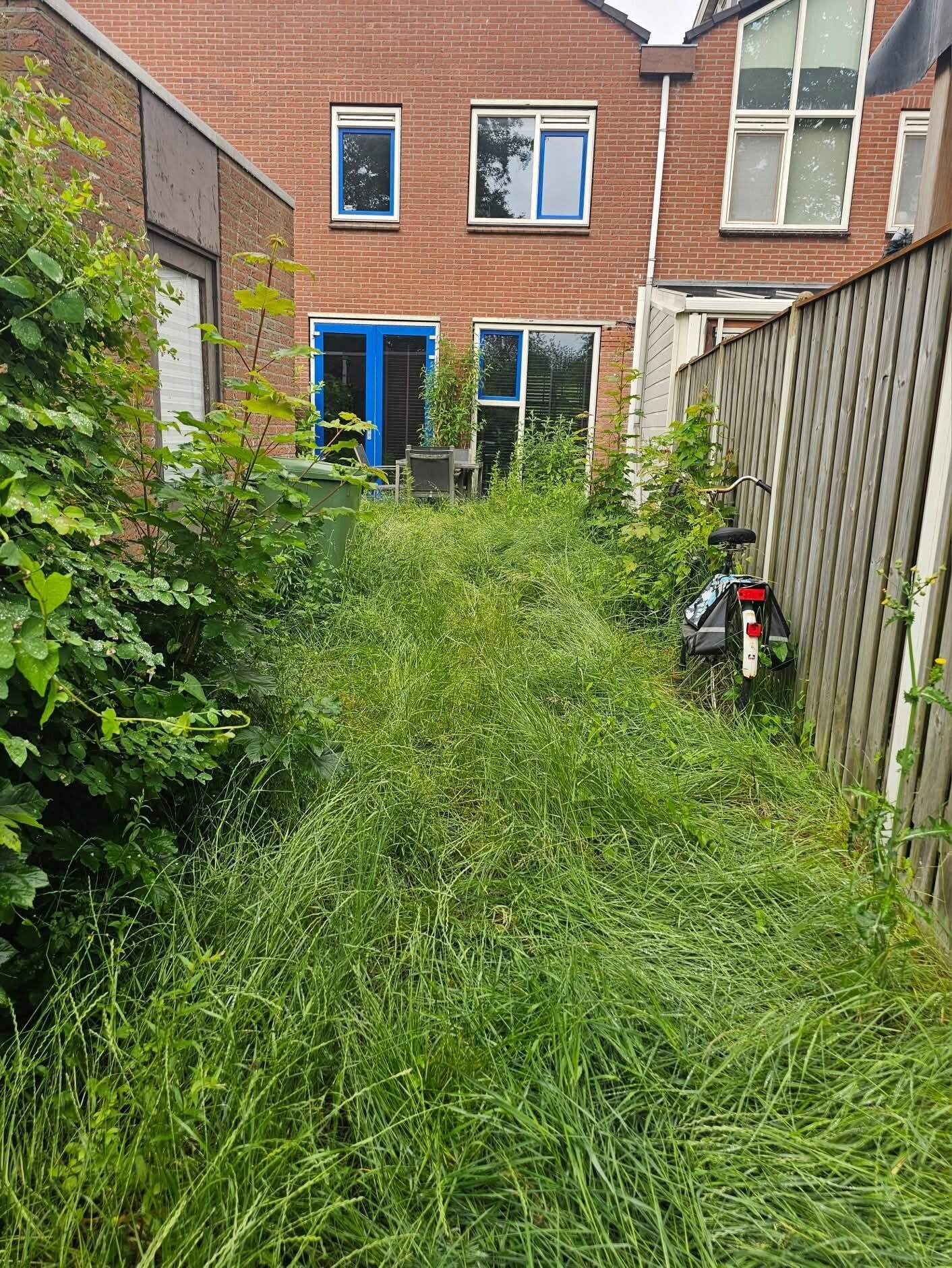 Tuin opruimen Borkov Hulp aan Huis