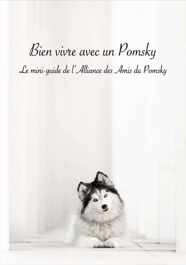 Le mini guide du Pomsky - GRATUIT