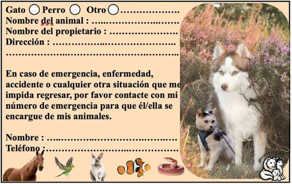 Pet solo card - ES (Spain)