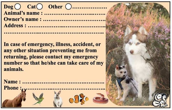 Pet solo card - UK (Great Britain)