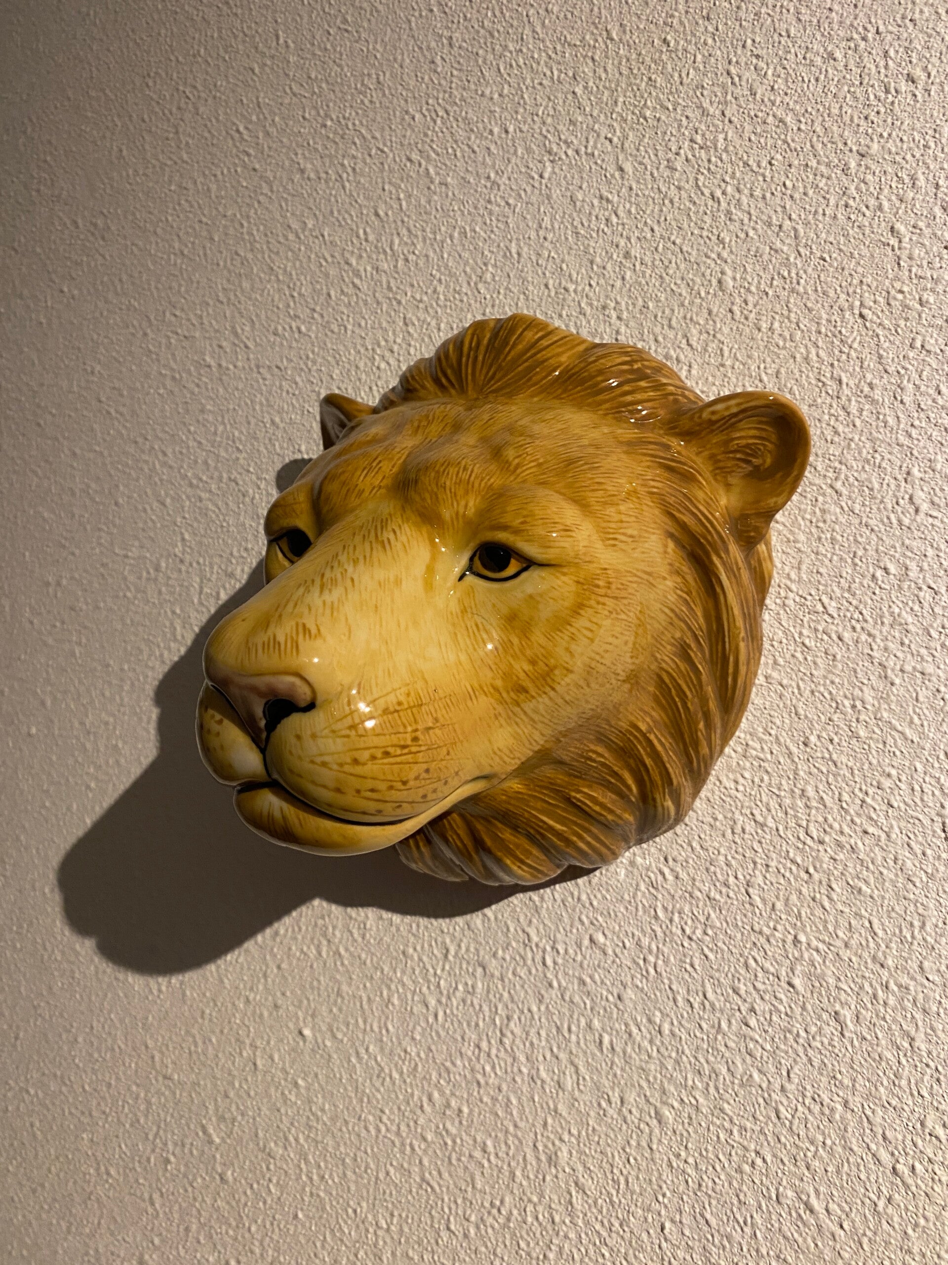 Leeuwenkop