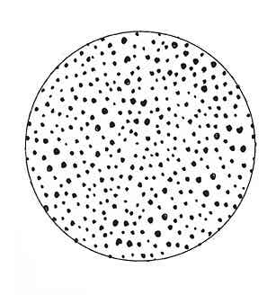 Forex Onderzetter 'Stippen' Wit/Zwart