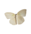 Pohjoisnoita