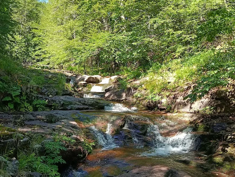 Dojkinci i Arbinje 