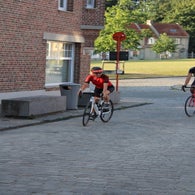 img_3817-standard-0go9qx.jpg