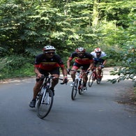 img_4369-standard.jpg