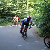 img_4374-standard.jpg