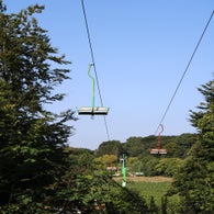 img_4408-standard.jpg