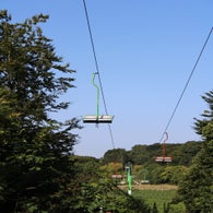 img_4409-standard.jpg