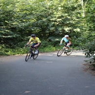 img_4478-standard.jpg