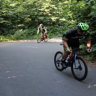 img_4515-standard.jpg