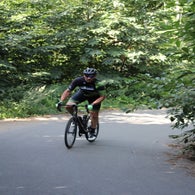 img_4534-standard.jpg