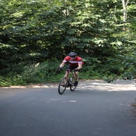 img_4582-standard.jpg