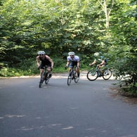 img_4731-standard.jpg