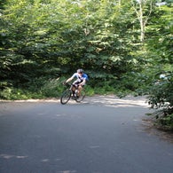 img_4746-standard.jpg