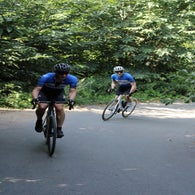 img_4750-standard.jpg