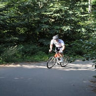 img_4776-standard.jpg