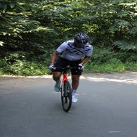 img_4781-standard.jpg