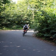 img_4805-standard.jpg