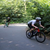 img_4808-standard.jpg