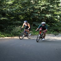 img_4856-standard.jpg