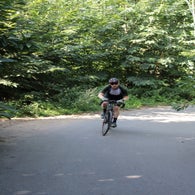 img_5011-standard.jpg