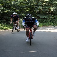 img_5050-standard.jpg