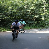 img_5074-standard.jpg