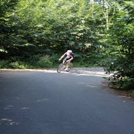 img_5153-standard-9y3f1p.jpg