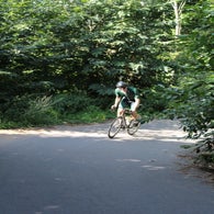 img_5177-standard.jpg