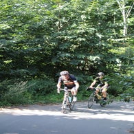 img_5182-standard-7tcjr7.jpg