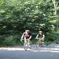 img_5183-standard.jpg