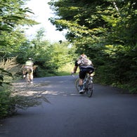 img_5205-standard.jpg