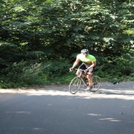 img_5207-standard.jpg