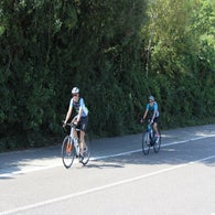 img_5231-standard.jpg