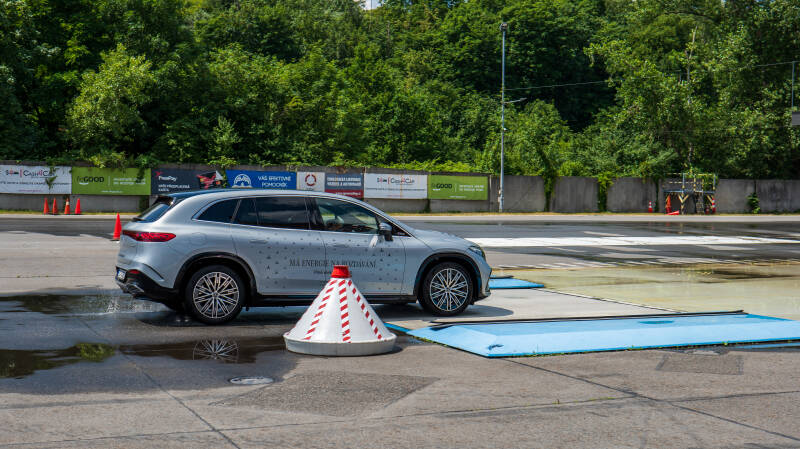 p1020592-standard.jpg