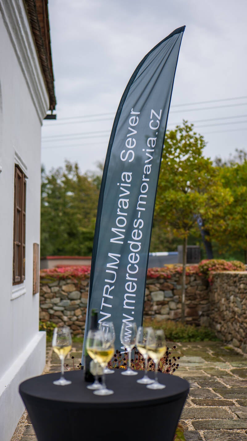 p1021913-standard.jpg