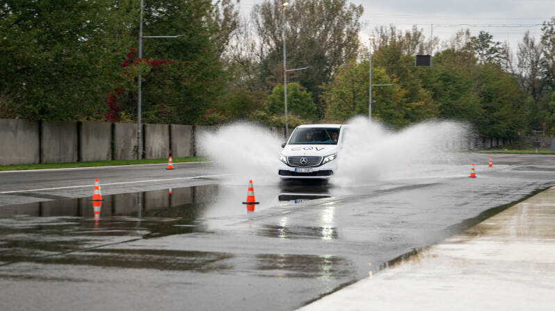 p1100984-standard.jpg