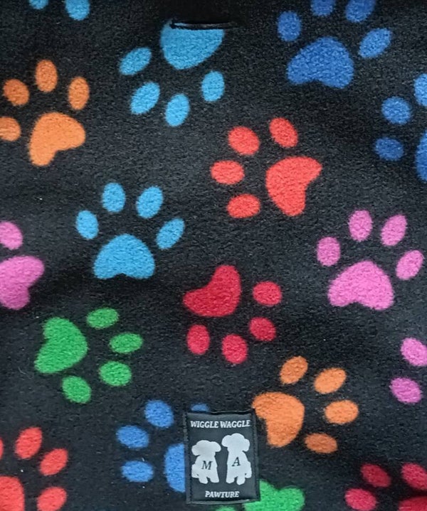 Paws Polar Fleece Dog Suit