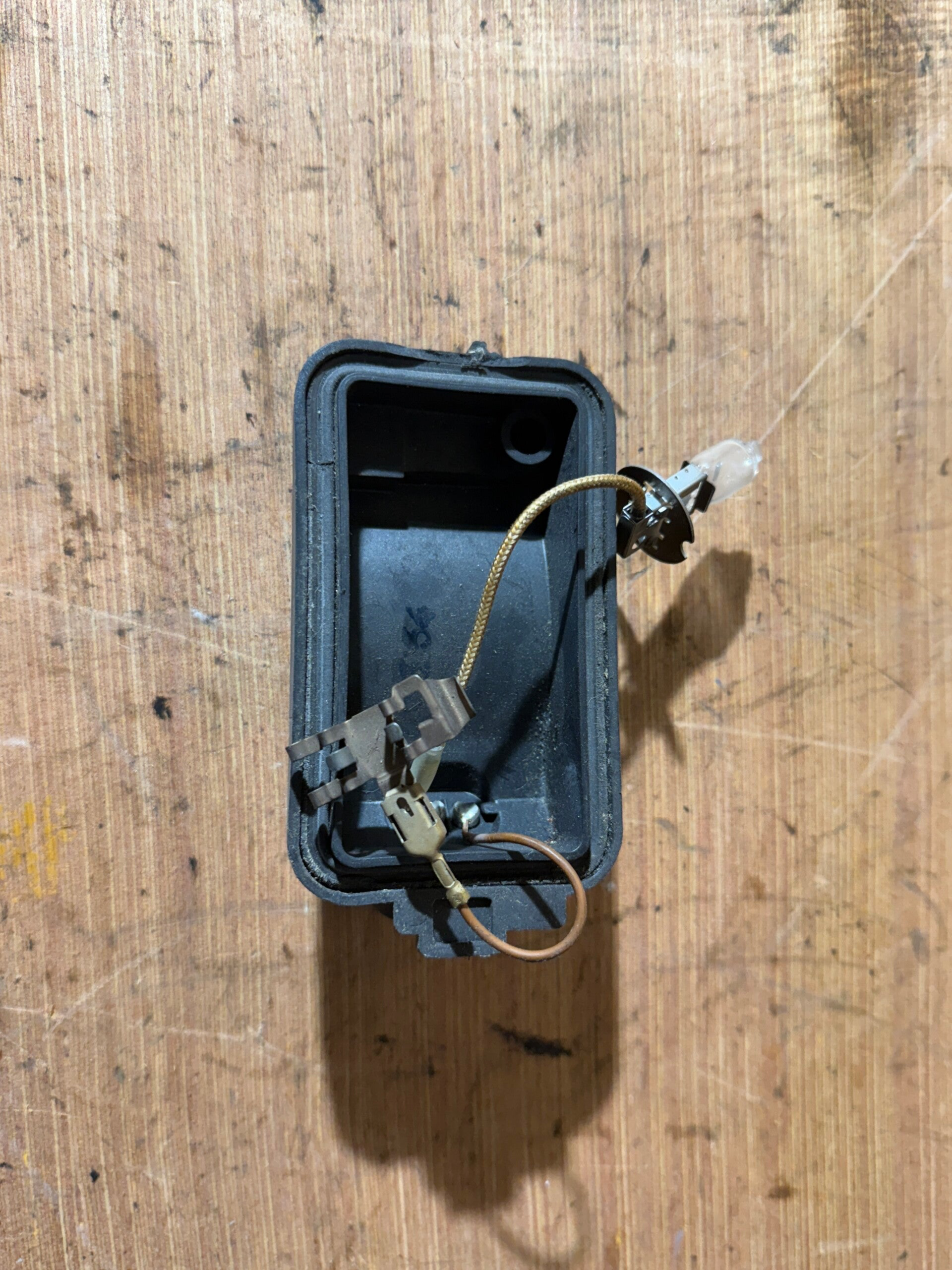 BMW E24 E 24 Light Lampe Leuchte NSW Fassung Kabelbaum Instrumente Teile Mopsfrikadelle 630 628 633 635 CSI