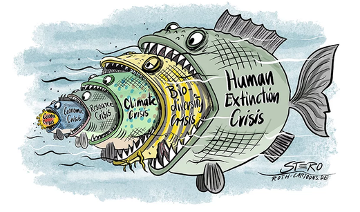 Fish extinction