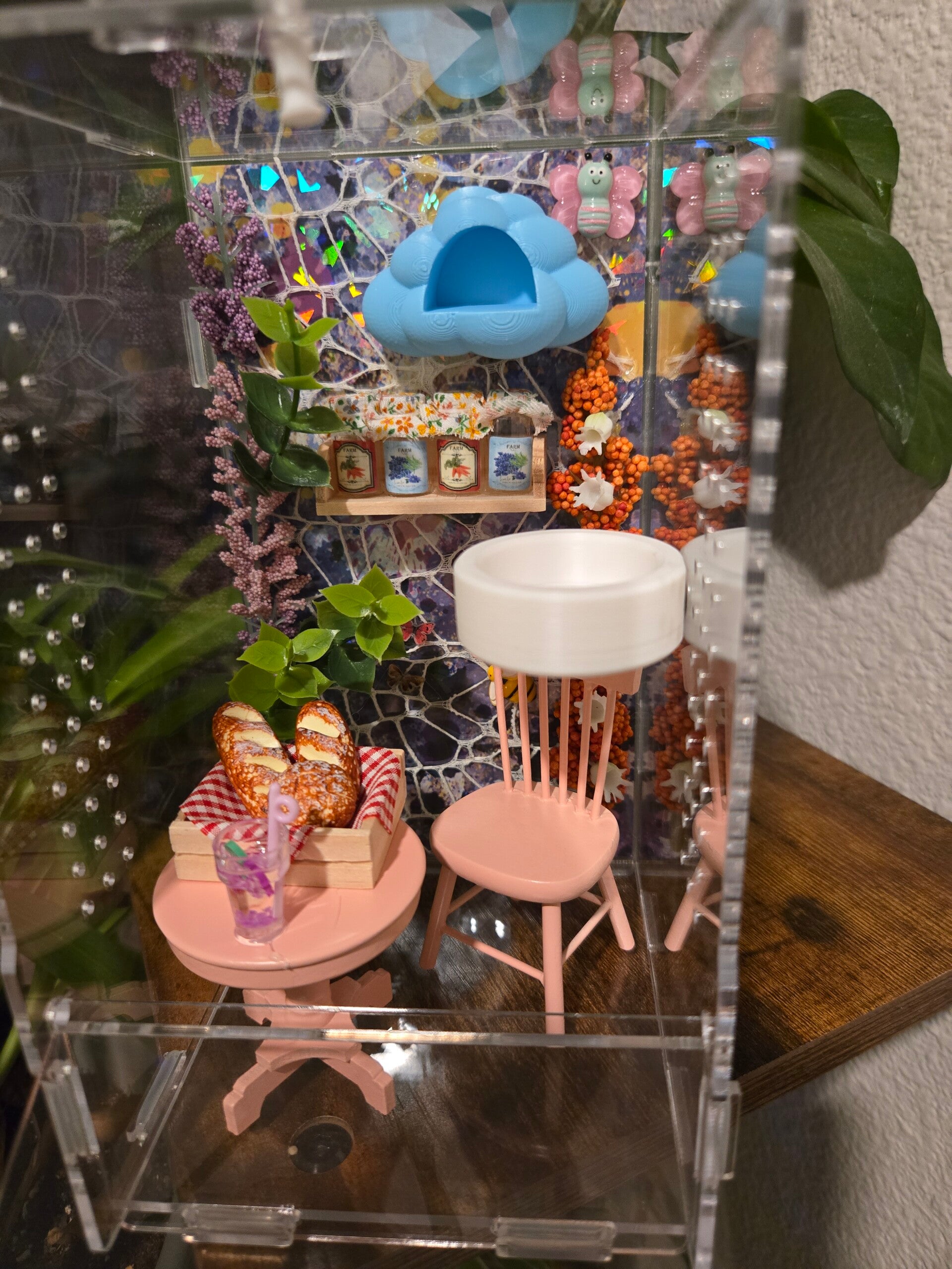 4×4×9 bundle deal for 80, comes with spider, enclosure, 20 worms, spray bottle, and paint brush.