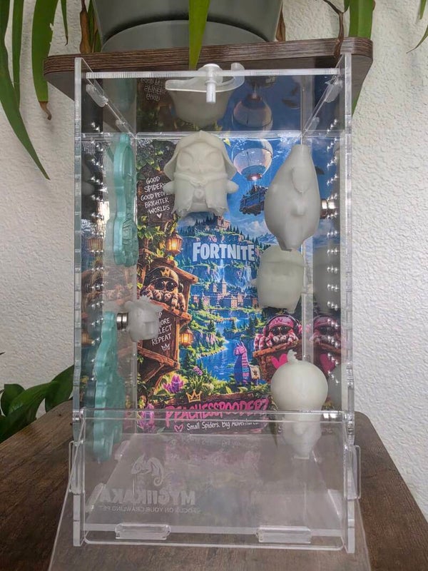 4×4×9 bundle deal for 80, comes with spider, enclosure, 20 worms, spray bottle, and paint brush.