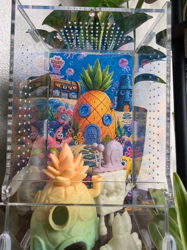 4×4×9 bundle deal for 80, comes with spider, enclosure, 20 worms, spray bottle, and paint brush.