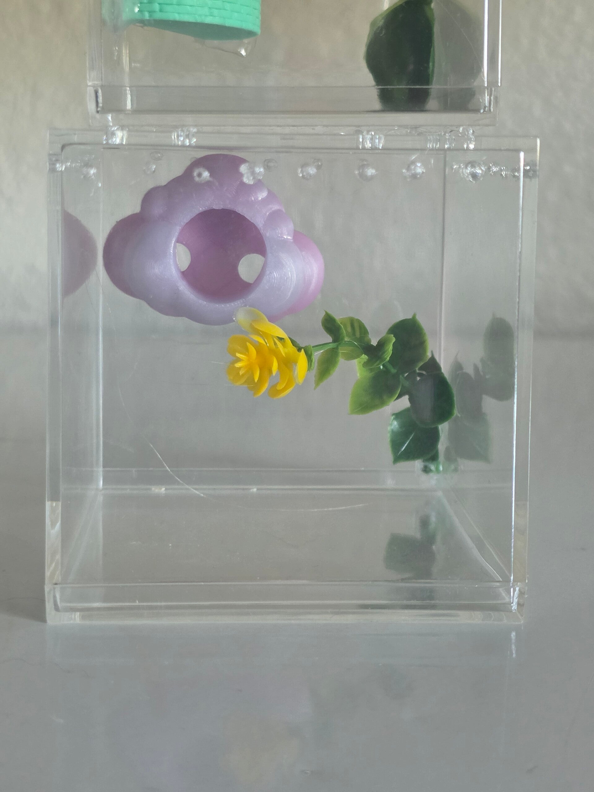 4×4×4 bundle deal for 45, comes with spider, enclosure, 20 worms, spray bottle, and paint brush.