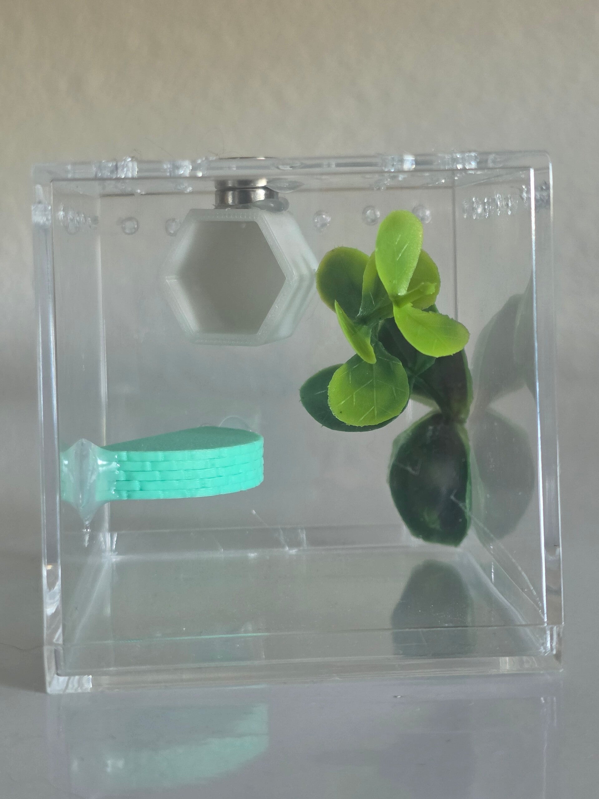 4×4×4 bundle deal for 45, comes with spider, enclosure, 20 worms, spray bottle, and paint brush.