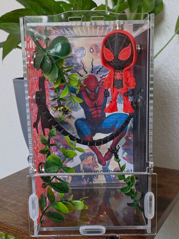 4×4×9 bundle deal for 80, comes with spider, enclosure, 20 worms, spray bottle, and paint brush.