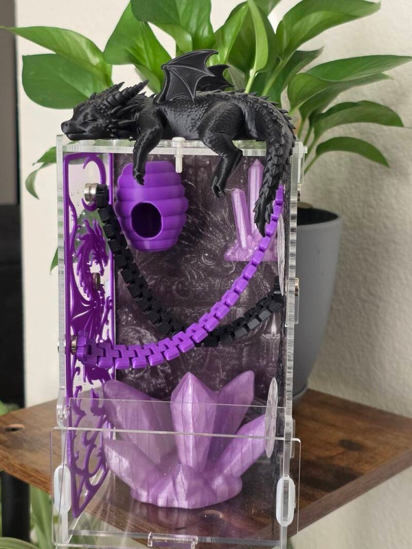 4×4×9 bundle deal for 100, comes with spider, enclosure, 20 worms, spray bottle, and paint brush.