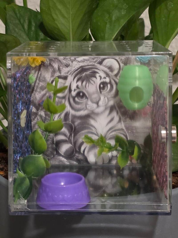 4×4×4 bundle deal for 45, comes with spider, enclosure, 20 worms, spray bottle, and paint brush.