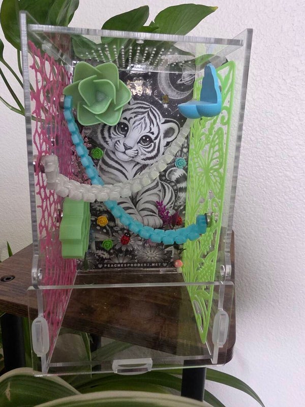 Lisa frank! 4×4×9 bundle deal for 80, comes with spider, enclosure, 20 worms, spray bottle, and paint brush.